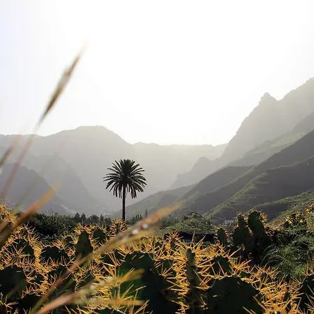 La Papaya - Eco - Yoga - Hiking - بيت شباب